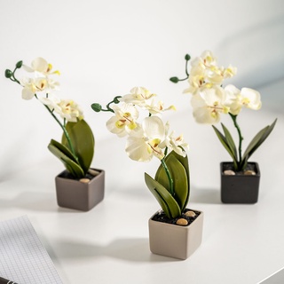 Kunstpflanze Orchideen Im Keramiktopf  3Er-Set