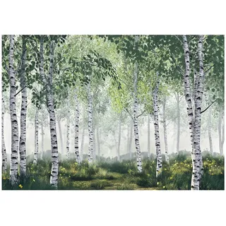 WallArena Fototapete Birkenwald in Grün - Gr.: 350 x 250 cm