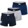 Trunks Big Croc Print Dunkelblau/Grau XL