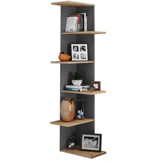 VCM Holz Wandregal Eckregal Regal Balos XL