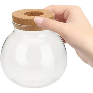 Kleine Glasvase Hydroponische Glasflasche aus Glas und Holz für Tischdeko | Hydroponikvasen aus Glas, Vermehrungsvase aus Glas, Wasserpflanzvase, Büro und Wohnzimmer