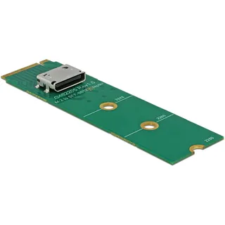 DeLock 64040 Schnittstellen-Konverter M.2 Key M zu 1 x OCuLink SFF-8612