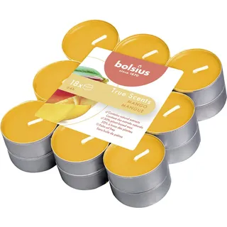 Bolsius Teelicht Bolsius Duftteelichter True Scents Mango Ø 3,8 cm