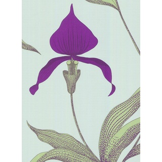 Orchid - Designtapete von Cole and Son - Türkis/ Violett