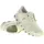 Damen Seedling / Ice 42,5