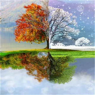 Puzzle 3000 Teile - Jigsaw Puzzle für Erwachsene - Buntes Puzzle 3000 Teile Erwachsene, Motiv: Die vier Jahreszeiten des Baumes, 3000 Teile Puzzle, Puzzle Erwachsene 3000 Teile, Puzzel,3000 Puzzle-48