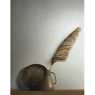 Marburg Vliestapete Metalloptik Uni Chromeffekt Creme Perlmutt Glitzer 86558