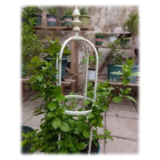 Rankhilfe Gartenobelisk Ranksäule Für Kletterpflanzen, Durable U-FöRmige Obelisk Rosenturm, Metallkern Himbeeren Rankhilfe Abnehmbar Indoor Outdoor Blume Stand Spalier GemüSe ( Color : Weiß , Size : I