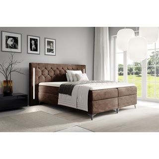 Boxspringbett Schlafzimmerbett ELODIE 180x220cm Braun inkl. Ambiente-LED