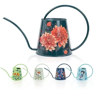 Berry&Bird Gießkanne für Zimmerpflanzen, für drinnen und draußen, 1/2 Gallonen, Edelstahl-Wasserkanne mit langem Auslauf, Gartendekoration für Blumen, Bonsai, Sukkulenten, Gartenarbeit, große