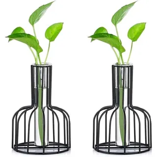 2-teiliges Mini-vasen-set, Kleine Vasen Für Tischdekoration, Moderne Knospenvase, Glasvase Für Hydrokultur, Reagenzgläser (schwarz) - Fei Yu