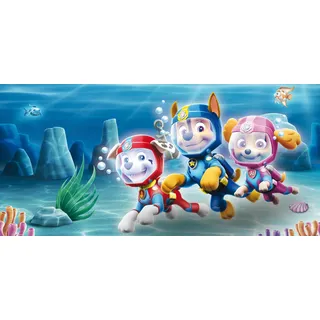 Leinwandbild BÖNNINGHOFF "Wandbild PAW PATROL – SEA 33x70 cm – Leinwandbild Keilrahmen Deko", blau (farbe bild(er): blau, grün, rot), B:70cm H:33cm T:2cm, Canvas, MDF, Bilder, Leinwandbild, auf Keilrahmen gespannt