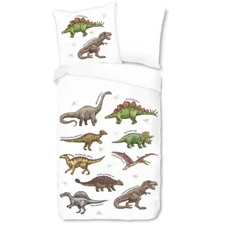 ESPiCO Kinderbettwäsche Dino, Renforcé, 2 teilig, Digitaldruck, Dinosaurier, Tierwelt bunt
