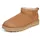 Chestnut 36