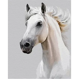 Artnapi Malen nach Zahlen Erwachsene mit Rahmen | DIY Handgemalt | Tiere - Weißes Pferd | Kit für Anfänger und Erwachsene | Set inklusive Acrylfarben & Pinsel | 40x50cm Leinwand | Ideal als Geschenk