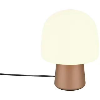 meineWunschleuchte TRIO Leuchten Nachttischlampe Braun