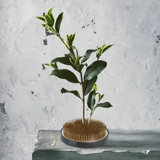 Kenzan Japanischer Runder Blumenhalter – Blumenarrangement-zubehör Mit Kupferstiften
