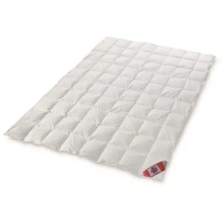 Schäfer Polaris Premium leichte Daunendecke Sommerdecke canadische Gänsedaune 155x220 cm