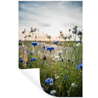 MuchoWow Wandsticker Blumen - Sommer - Kornblume - Blau - Sonne - Wolken (1 St), Wandtattoo, Selbstklebend, Wohnzimmer, 40x60 cm bunt 40 cm x 60 cm x 0.1 cm