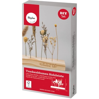 Rayher Bastelpackung Holzleiste mit Trockenblumen, Steckleiste Holz FSC zertifiziert, 22,7 x 4 cm, Dekoration Trockenblumen, 85484000