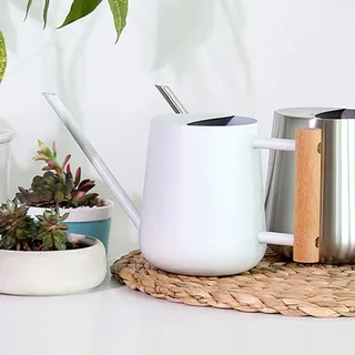 Gießkanne [edelstahlmodell] Mini-gießkanne Für Drinnen Und Draußen Mit Langem Ausguss Und Weißem Holzgriff