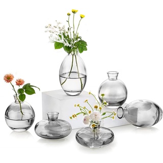 Kleine Vasen füR Tischdeko Glas - EylKoi 2 Sätze(6 Stück) Grau Mini Vase Vintage Handmade Hydroponic Glasvase Blumenvase Modern Set Fuer Hochzeit Tischdeko, Zuhause Wohnzimmer Blumen Rose