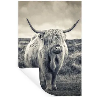 MuchoWow Wandsticker Schottischer Hochländer - Tiere - Wolken - Kuh - Natur (1 St), Wandaufkleber, Selbstklebend, Wohnzimmer, 20x30 cm bunt 20 cm x 30 cm x 0.1 cm