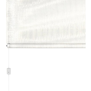Insektenschutzrollo für Dachfenster, BASIC, hecht international, transparent, weiß/weiß, BxH: 110x160 cm weiß