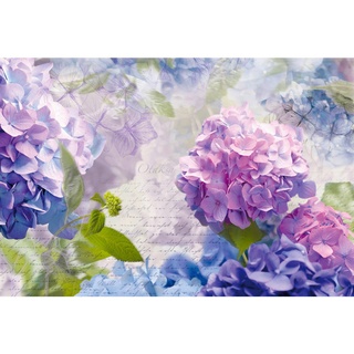 Komar Fototapete, Blau, Lila, Papier, Blume, 368x254 cm, Fsc, Made in Germany, Tapeten Shop, Fototapeten