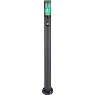 LED Wegeleuchte mit Bewegungsmelder Außenstehlampe dimmbar mit Fernbedienung Pollerleuchte außen Gartenlampen anthrazit , RGB Farbwechsel, rauch 8,5W 806lm warmweiß, DxH 12,7x110cm