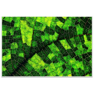 wandmotiv24 Poster Blatt, grün, Pflanze, Natur (1 St), Wandbild, Wanddeko, Poster in versch. Größen grün 60 cm x 40 cm x 0.1 cm