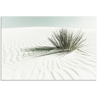 Artland Wandbild Dünen, weißer Sand Vintage, Strandbilder (1 St), als Alubild, Outdoorbild, Leinwandbild, Poster, Wandaufkleber weiß