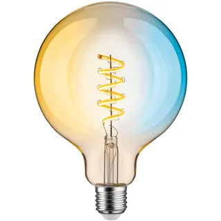 Paulmann LED Globe G125 29161 7,5 W E27 600 lm Tunable White 1 St.