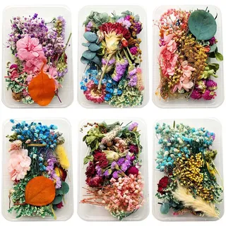 zhiwenCZW 1Box Crystal Epoxy Filler Trockenblume Gemischte Nagelaufkleber Dekorationen Harz Füllmaterial Kunsthandwerk Kunstschmuck Herstellung von DIY-Zubehör
