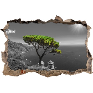 Pixxprint 3D_WD_4945_62x42 Mediteraner Baum am mittelmeer Wanddurchbruch 3D Wandtattoo, Vinyl, schwarz / weiß, 62 x 42 x 0,02 cm