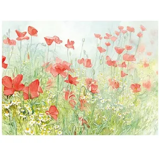 AVA Platzset, Tischsets aus Papier 43x30cm Mohnblumen Motiv 50 Stück Grün / Bunt grün|rot