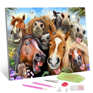 TISHIRON DIY 5D Diamond Painting Horse by Number Kits für Erwachsene Horse Diamond Painting Kits Round Full Drill Diamond Art Kits Smiling Horses Arts Craft for Home Wall Art Decor 12x16inch