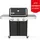 E-315 Gasgrill 2024 Schwarz