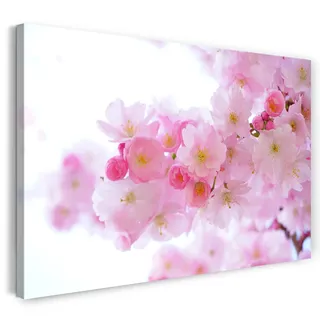 Printed Paintings Leinwand (60x40cm): Blumenbilder Nahaufnahme AST japanischer Kirschblütenbaum