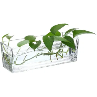 PATIKIL Rechteckige Glasvase 30x10x10 cm, 1 Stück Klarer Pflanzentopf Terrarium für Hochzeit