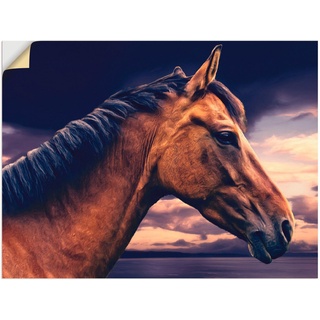 Artland Wandbild Pferd am Meer, Haustiere (1 St), als Leinwandbild, Wandaufkleber in verschied. Größen braun 80 cm x 60 cm