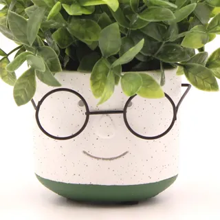 Edington Decor Gesichts-Übertopf mit Gläsern für Innen- und Außenpflanzen, niedlich, einzigartig, Sukkulenten-Kaktus-Pflanzgefäß mit Drainageloch, Zement, 10,2 cm (Grün)
