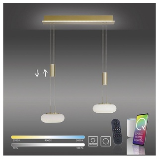 Paul Neuhaus Smarte LED-Leuchte LED Pendellampe Q ETIENNE Smart Home, Smart Home, CCT-Farbtemperaturregelung, RGB-Farbwechsel, Dimmfunktion, Memoryfunktion, mit Leuchtmittel, dimmbar Fernbedienung höhenverstellbar CCT Pendel silberfarben
