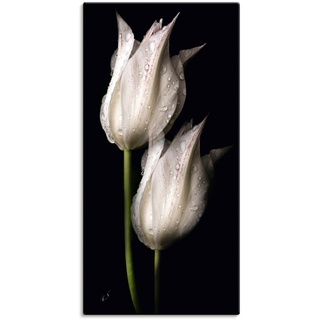 Wandbild ARTLAND "Weiße Tulpen in der Nacht" Bilder Gr. B/H: 50 cm x 100 cm, Leinwandbild Blumenbilder Hochformat, 1 St., schwarz Kunstdrucke