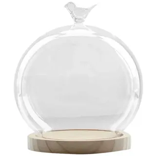 Tubayia Kugel Glasglocke Glasdom Glaskuppel mit Holz Base für Haus Büro Dekoration Geschenk (Vogel)