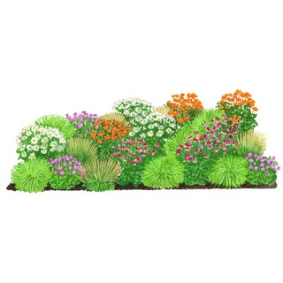 Stauden-Set Bunte Blumenwiese Frühsommer, 24-teilig, Orange|Rosa|Lila|Weiß|Grün