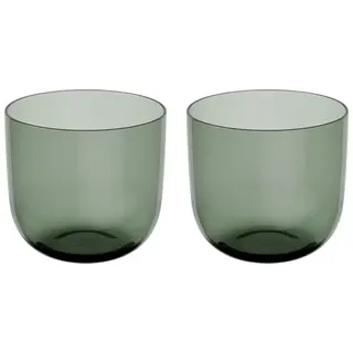 Villeroy & Boch Like Sage Wasserglas 0,3 l 2 St.