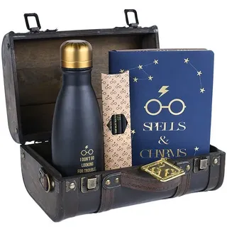 Harry Potter (Trouble Finds Me) Premium Gift Set