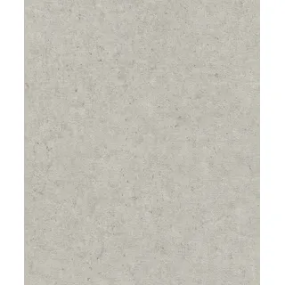 Rasch Textil Vliestapete Concrete 10,05 m x 0,53 m 520859 Grau