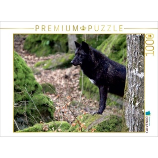 CALVENDO Puzzle CALVENDO Puzzle Wolf - Timberwolf 1000 Teile Lege-Größe 64 x 48 cm Foto-Puzzle Bild von Arno Klatt, 1000 Puzzleteile